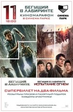 Бегущий в лабиринте: Испытание огнем (МАРАФОН)